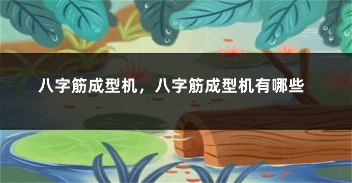 八字筋成型机，八字筋成型机有哪些