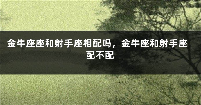 金牛座座和射手座相配吗，金牛座和射手座配不配