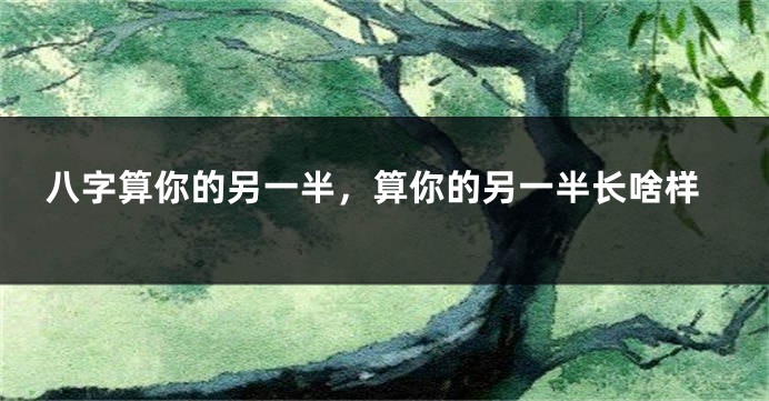 八字算你的另一半，算你的另一半长啥样