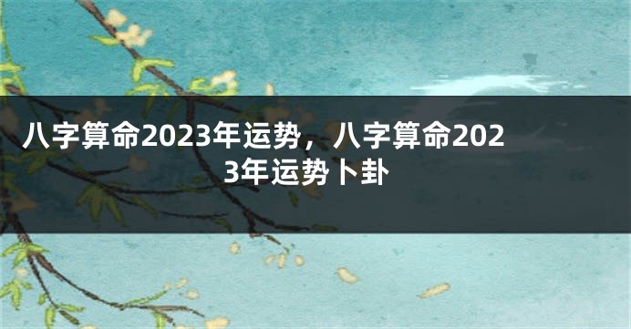 八字算命2023年运势，八字算命2023年运势卜卦