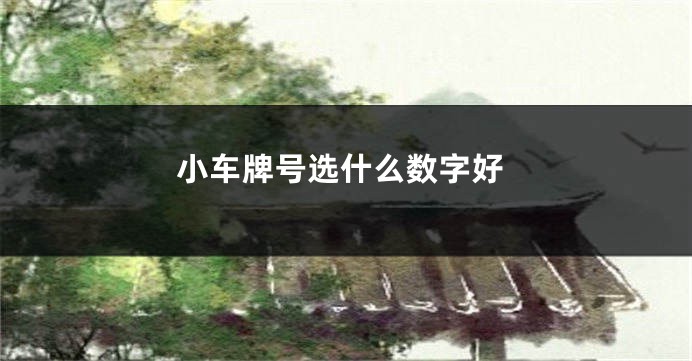 小车牌号选什么数字好