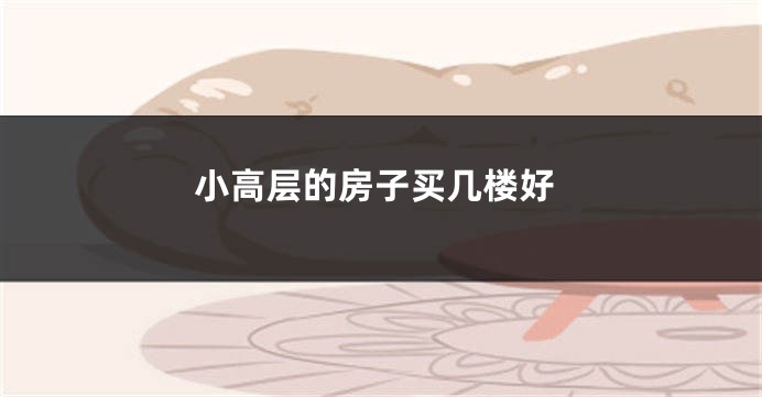 小高层的房子买几楼好