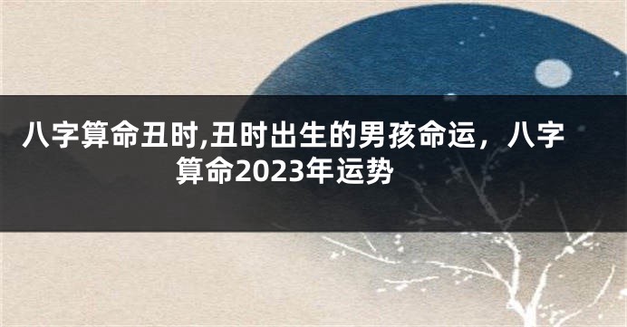 八字算命丑时,丑时出生的男孩命运，八字算命2023年运势