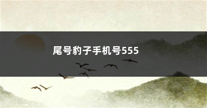 尾号豹子手机号555