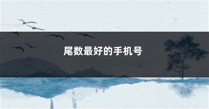 尾数最好的手机号