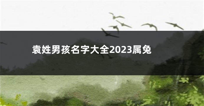 袁姓男孩名字大全2023属兔