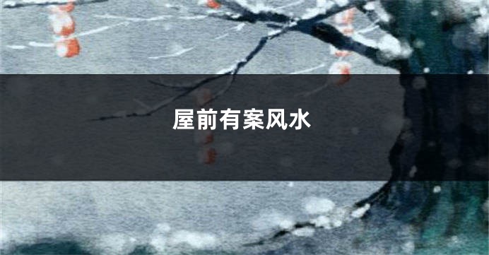 屋前有案风水