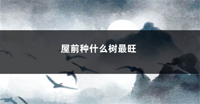 屋前种什么树最旺