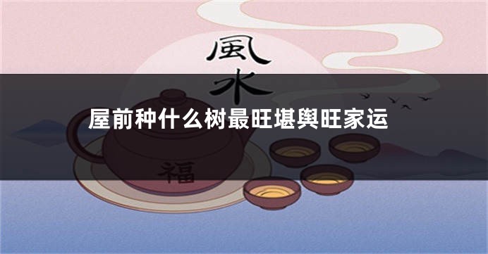 屋前种什么树最旺堪舆旺家运