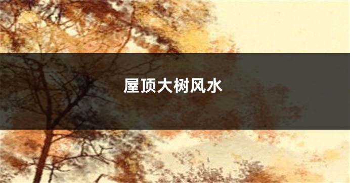 屋顶大树风水