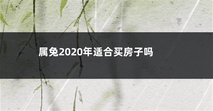 属兔2020年适合买房子吗