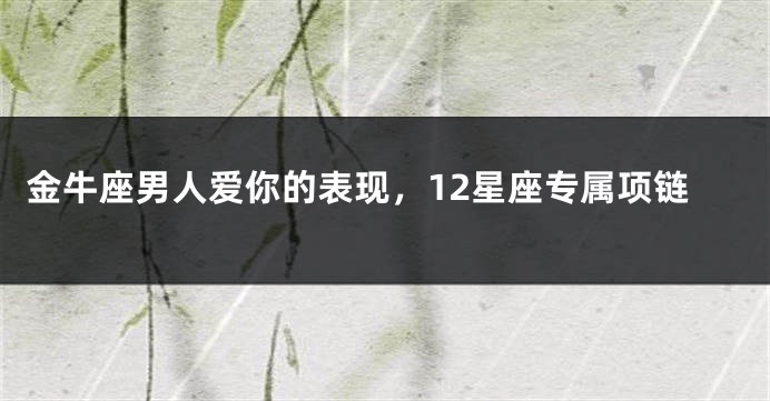 金牛座男人爱你的表现，12星座专属项链