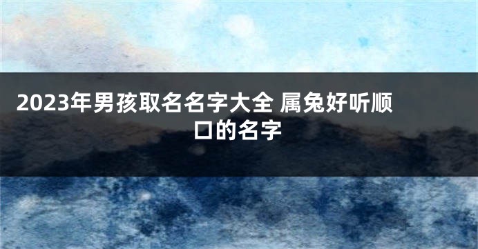 2023年男孩取名名字大全 属兔好听顺口的名字