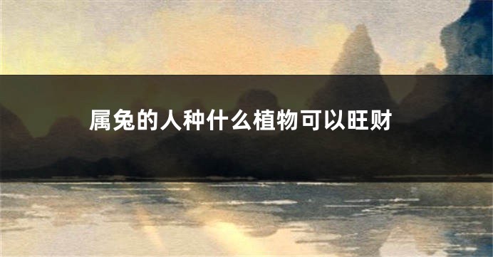 属兔的人种什么植物可以旺财
