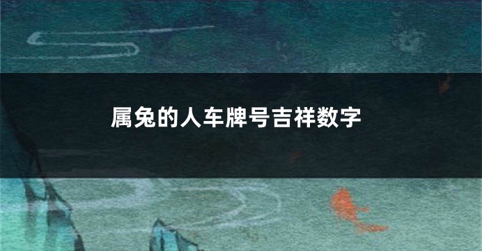 属兔的人车牌号吉祥数字