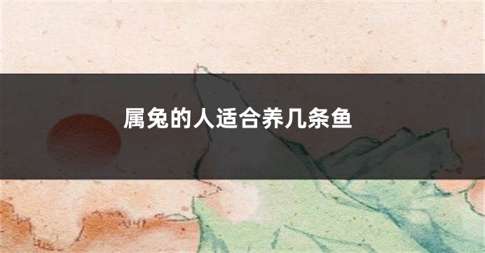 属兔的人适合养几条鱼