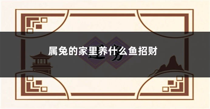 属兔的家里养什么鱼招财