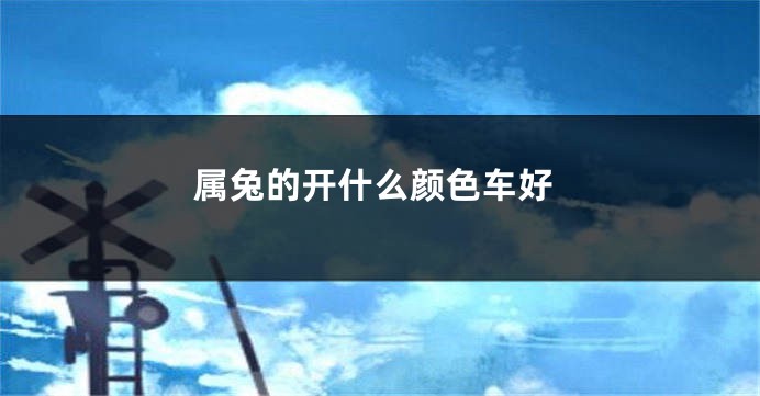 属兔的开什么颜色车好