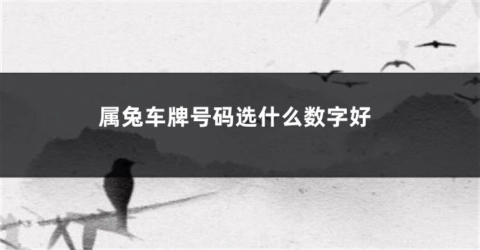 属兔车牌号码选什么数字好