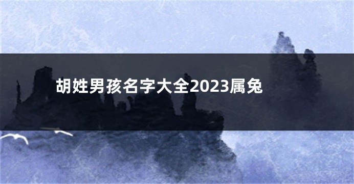 胡姓男孩名字大全2023属兔