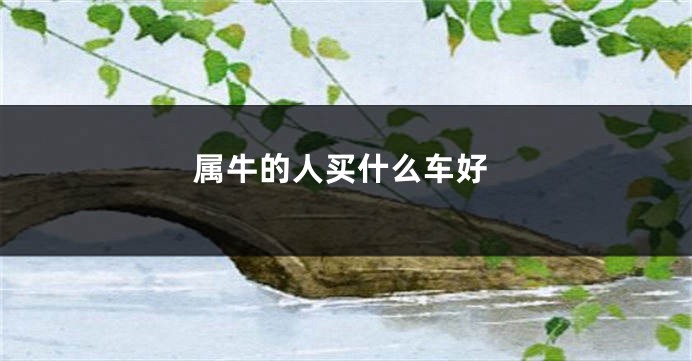 属牛的人买什么车好