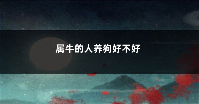 属牛的人养狗好不好