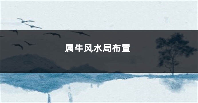 属牛风水局布置