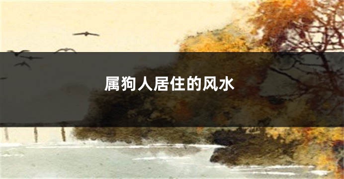 属狗人居住的风水
