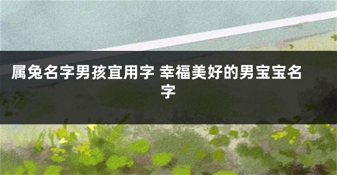 属兔名字男孩宜用字 幸福美好的男宝宝名字