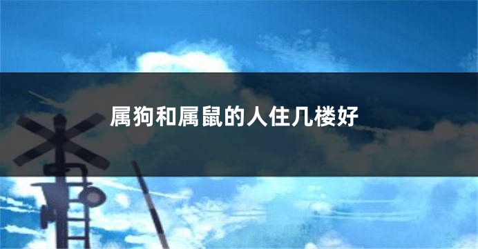 属狗和属鼠的人住几楼好