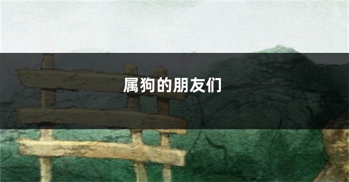 属狗的朋友们