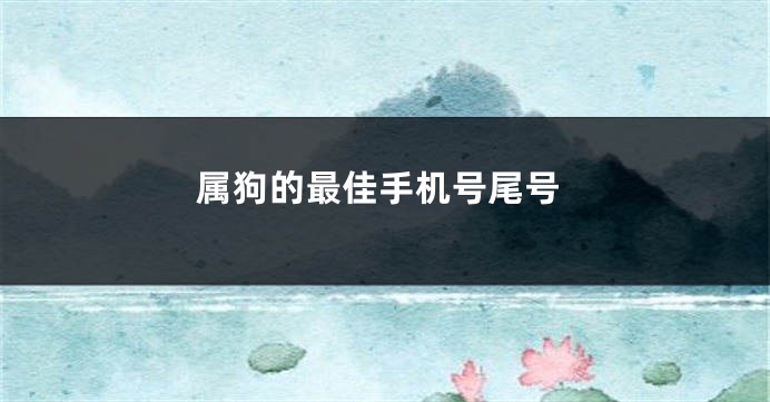 属狗的最佳手机号尾号