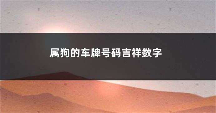 属狗的车牌号码吉祥数字