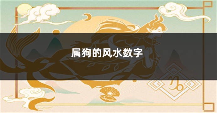 属狗的风水数字