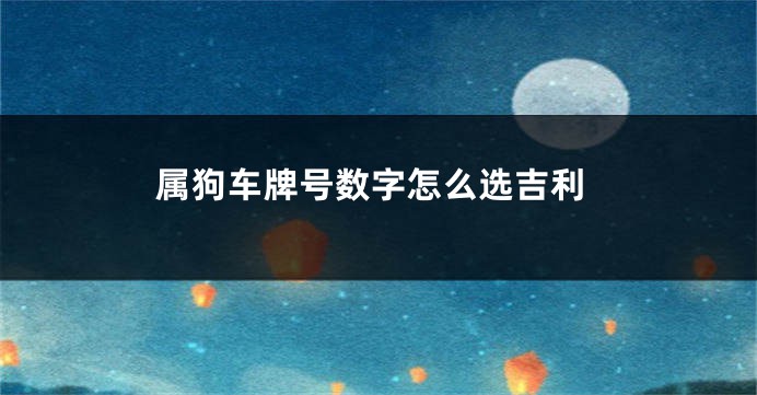 属狗车牌号数字怎么选吉利