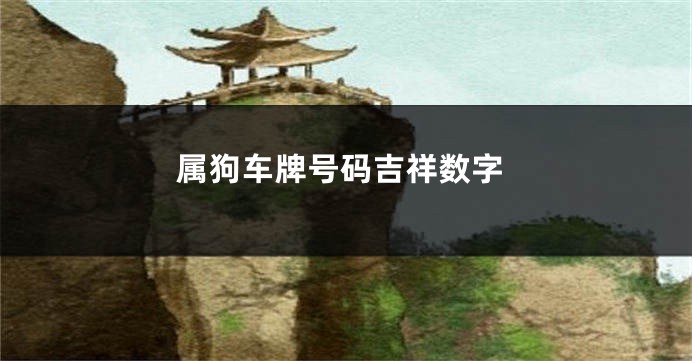 属狗车牌号码吉祥数字