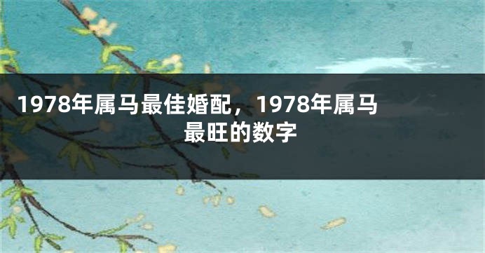 1978年属马最佳婚配，1978年属马最旺的数字