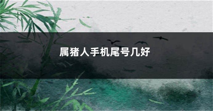 属猪人手机尾号几好