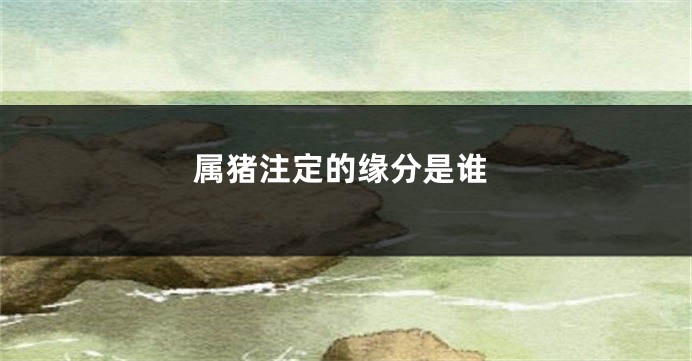 属猪注定的缘分是谁