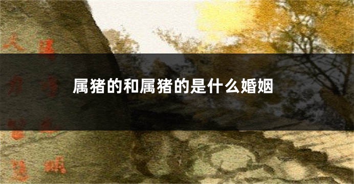 属猪的和属猪的是什么婚姻