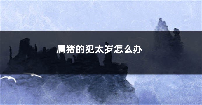 属猪的犯太岁怎么办