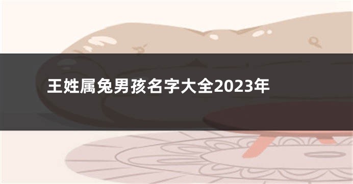 王姓属兔男孩名字大全2023年