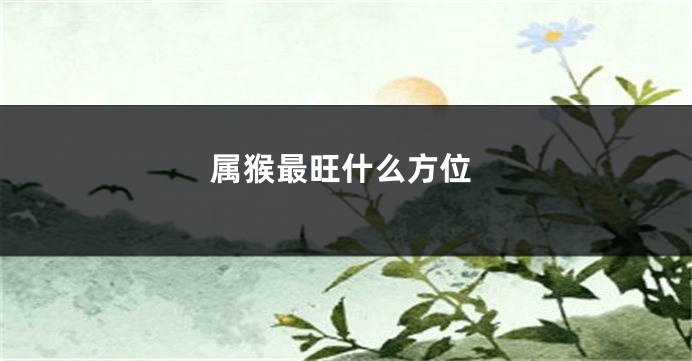 属猴最旺什么方位