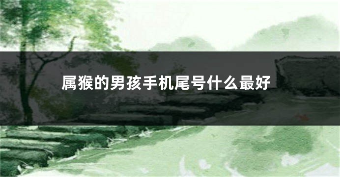 属猴的男孩手机尾号什么最好