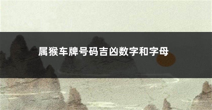 属猴车牌号码吉凶数字和字母