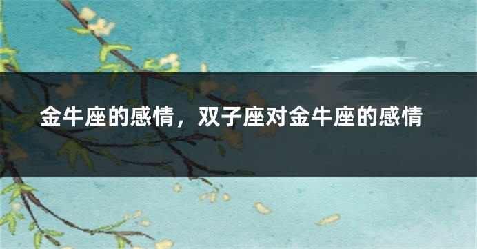 金牛座的感情，双子座对金牛座的感情