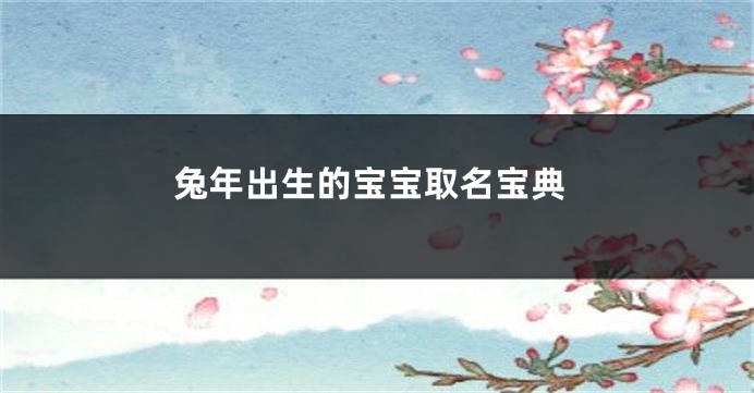 兔年出生的宝宝取名宝典