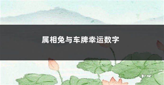 属相兔与车牌幸运数字
