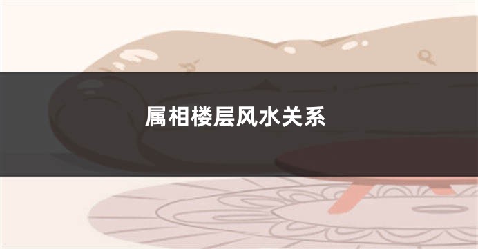 属相楼层风水关系
