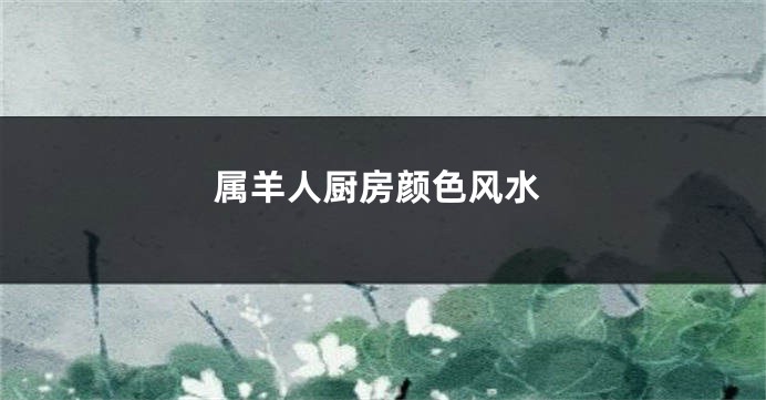 属羊人厨房颜色风水